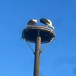 Segeln Und Angeln Apartamento
