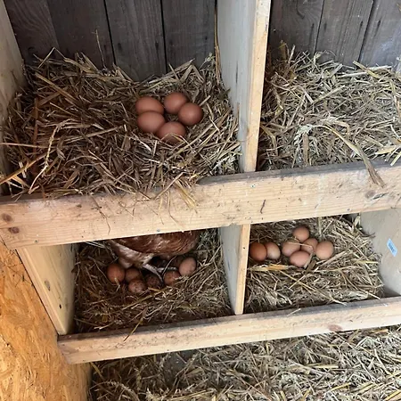 Lägenhet Segeln Und Angeln *