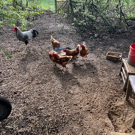 Segeln Und Angeln * Grabowhoefe