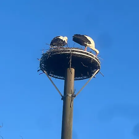 Segeln Und Angeln Lägenhet