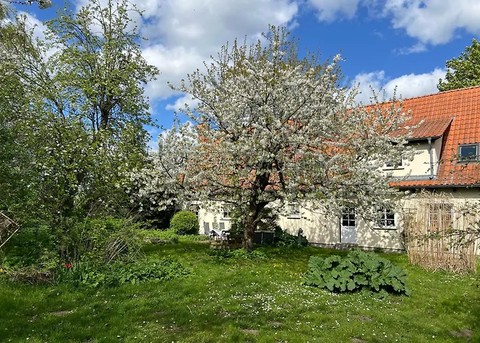 Segeln Und Angeln * Grabowhoefe