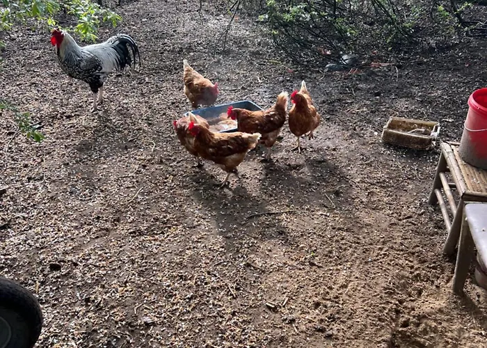 Segeln Und Angeln * Grabowhoefe