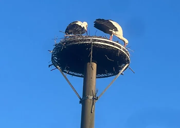 Segeln Und Angeln Апартаменты